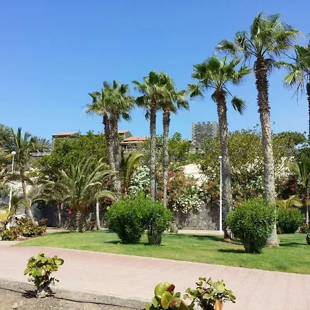 Madera With Private Pool, Wonderful Sea-view, Terrace, Bbq, Wifi, Wintergarden * Costa Adeje (Tenerife)